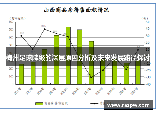 梅州足球降级的深层原因分析及未来发展路径探讨